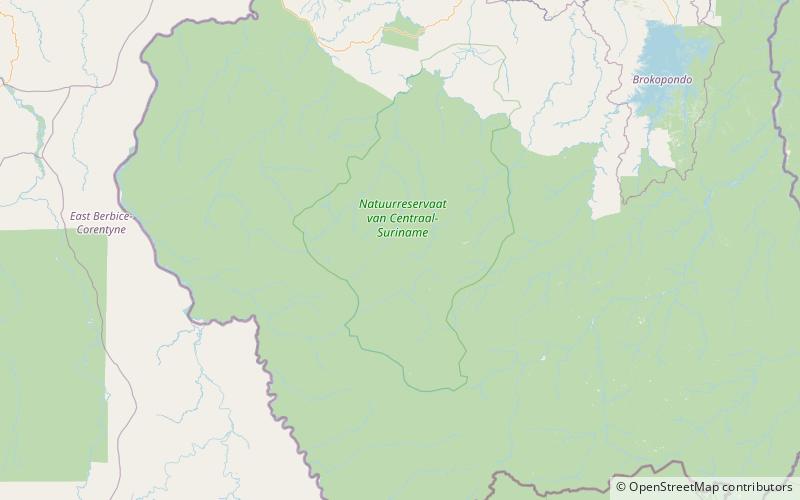 monts wilhelmina reserve naturelle du suriname central location map