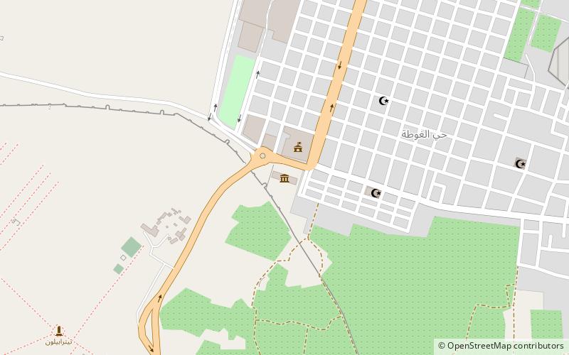 museum palmira palmyra location map