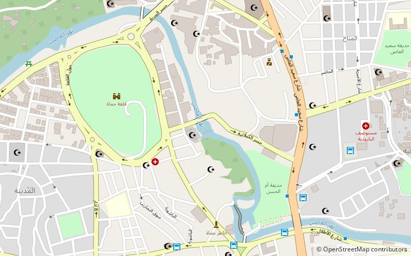 Norias of Hama location map
