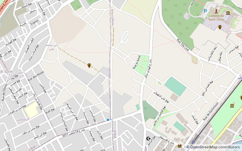 Abitinae location map