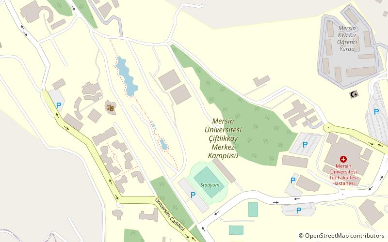 Mersin University location map