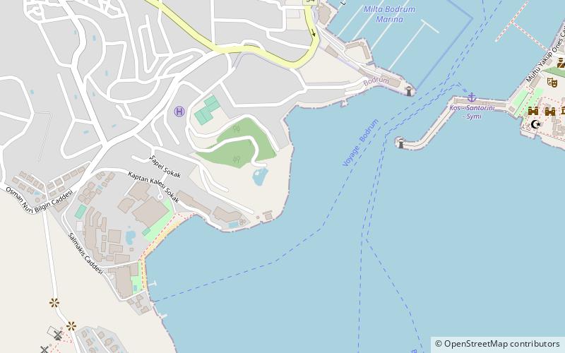 salmacis bodrum location map