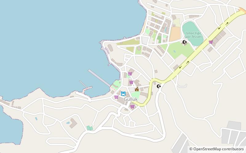 Güllük location map