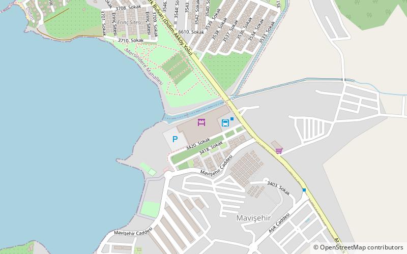 mavisehir pazari didim location map