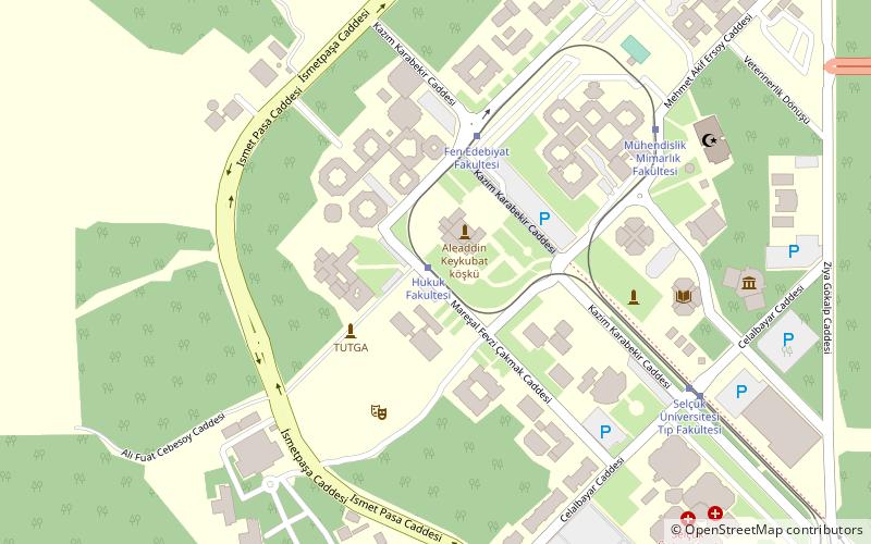 selcuk universitesi konya location map