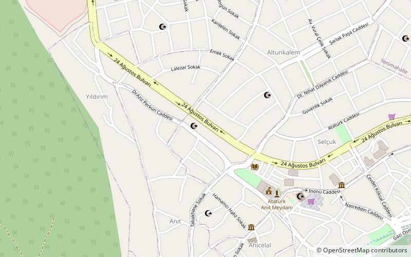 Taşmedrese location map
