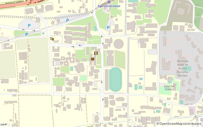 natural history museum of ege university esmirna location map