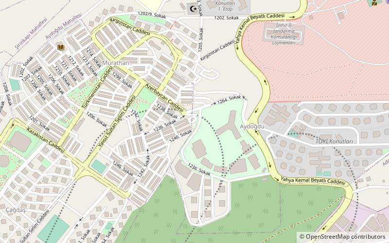 Altındağ location map