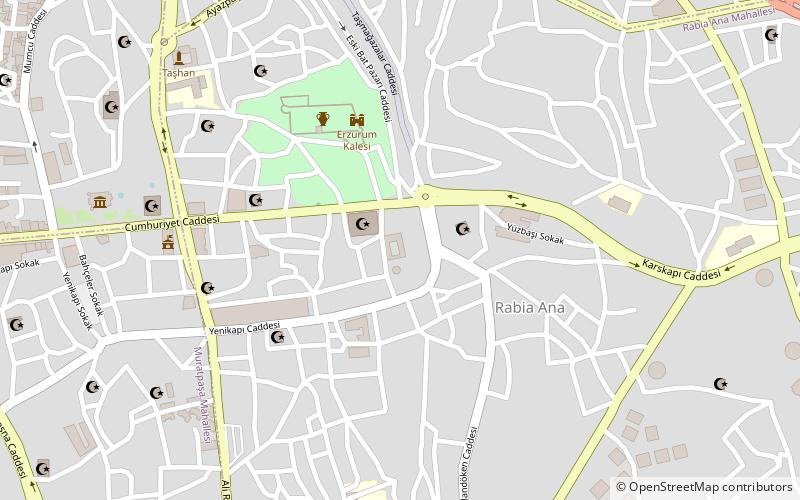Çifte Minareli Medrese location map