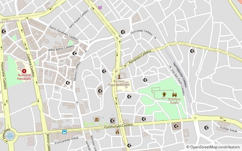 tashan erzurum location map