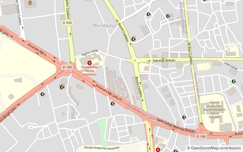 Bilkent Erzurum location map
