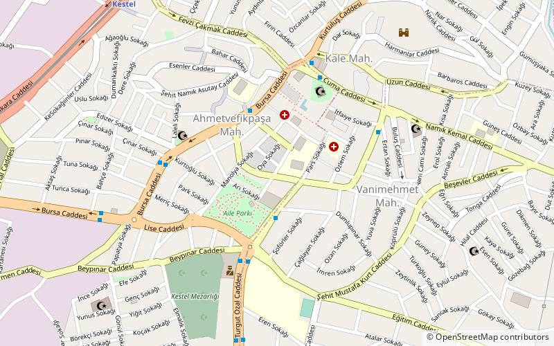 Kestel location map