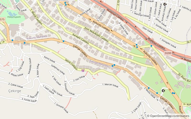 Bursa Forestry Museum location map