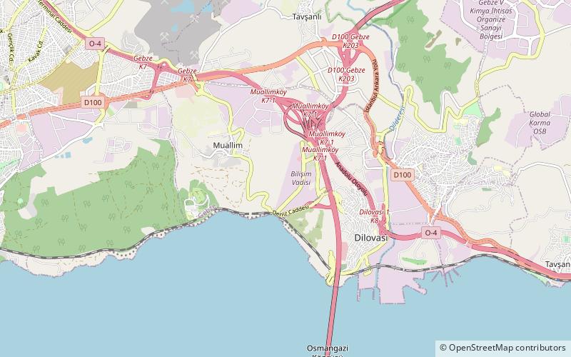 silicon valley of turkey gebze location map