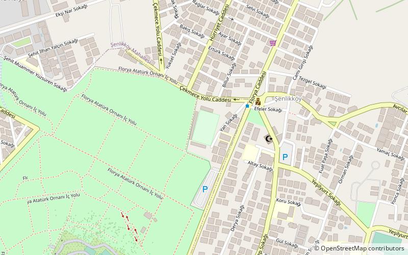 senlikkoy stadium estambul location map