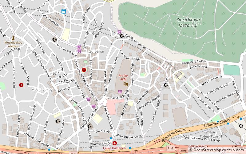 Profilo AVM location map
