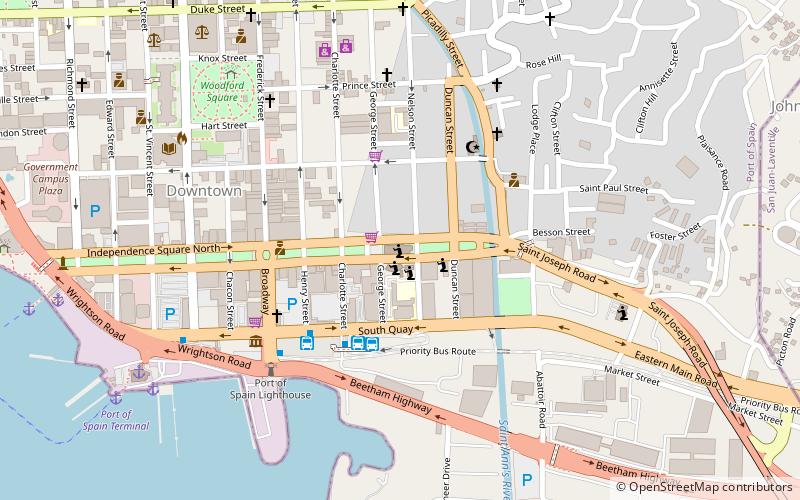 Cathedral Basilica of the Immaculate Conception location map