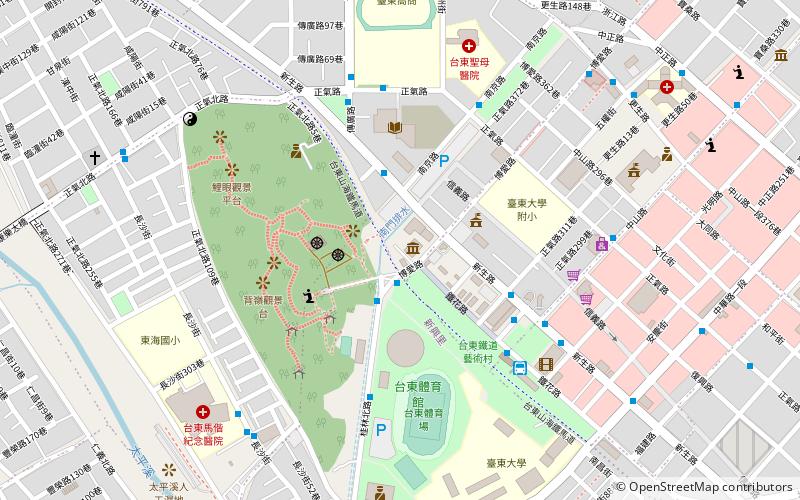 cheng pin shu dian tai dong gu shi guan taitung location map