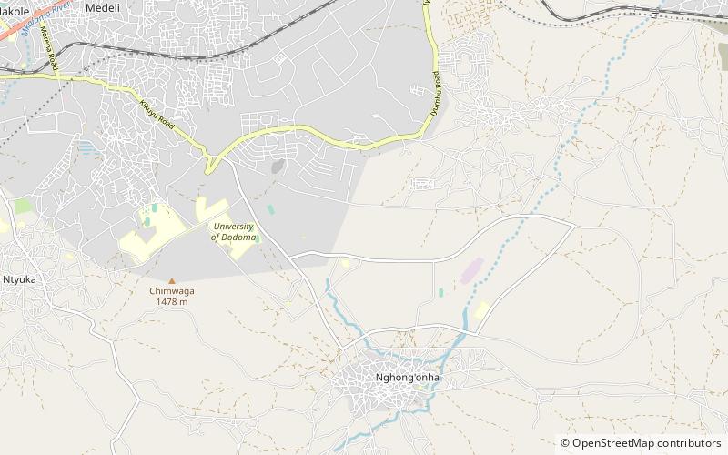 University of Dodoma location map
