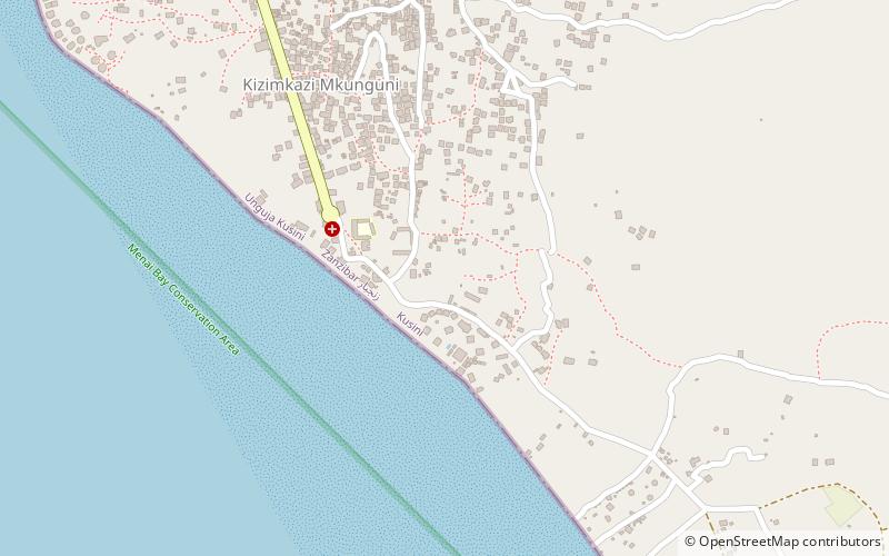 Kizimkazi location map