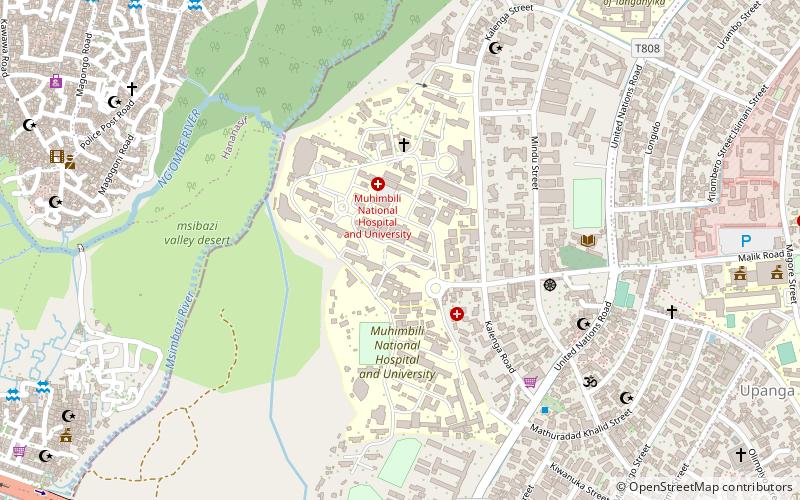 Muhimbili University of Health and Allied Sciences location map