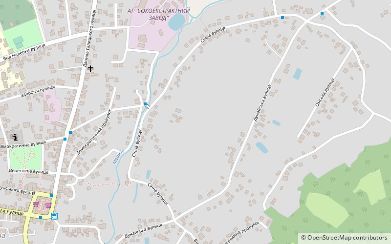 sadhora czernowitz location map