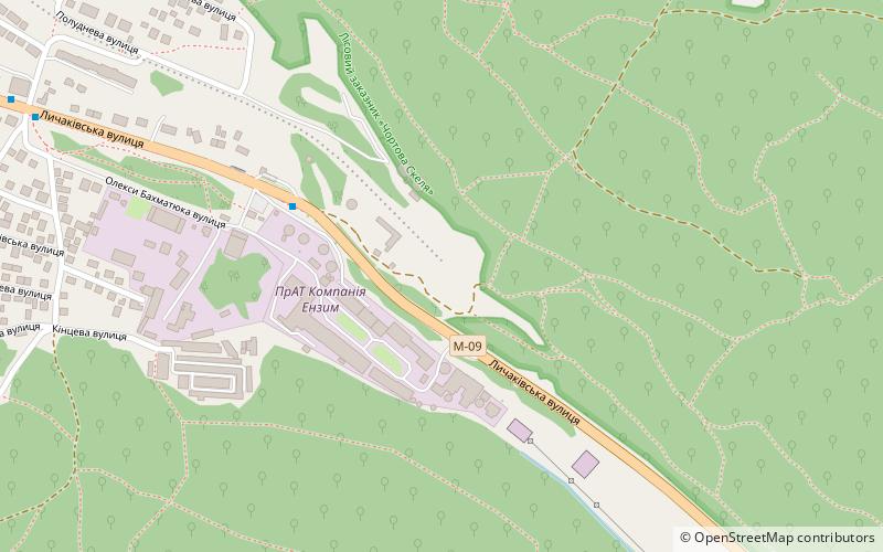 lychakivskyi district lviv location map