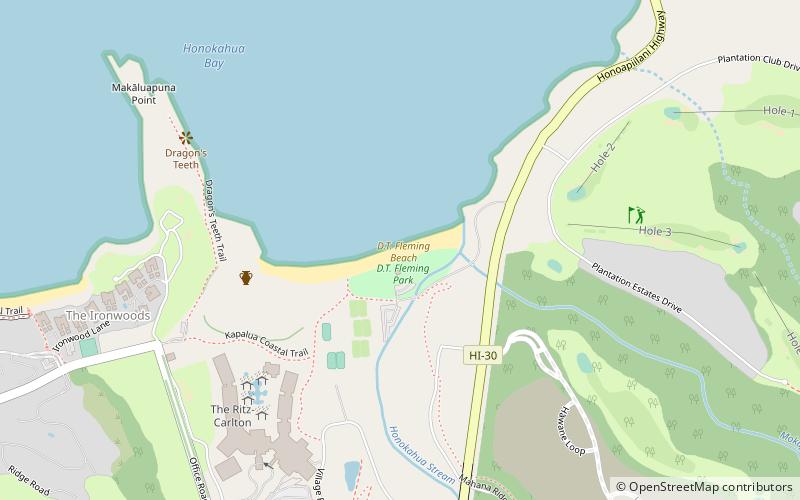 D.T. Fleming Beach location map