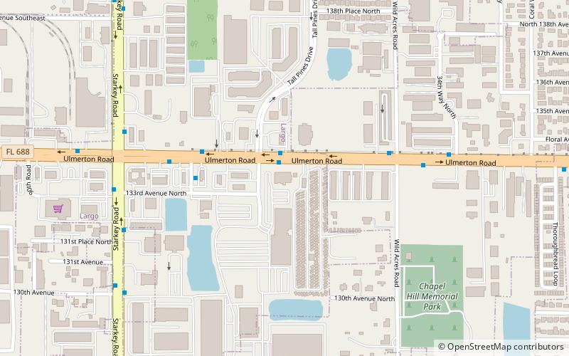 Schiller International University location map