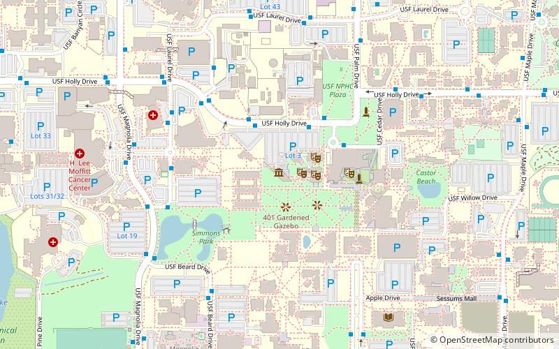 University of South Florida Contemporary Art Museum location map