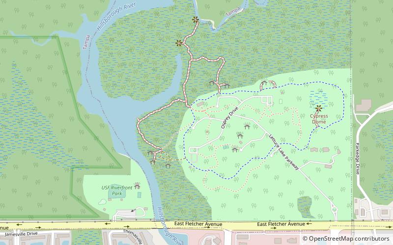 lettuce lake park tampa location map
