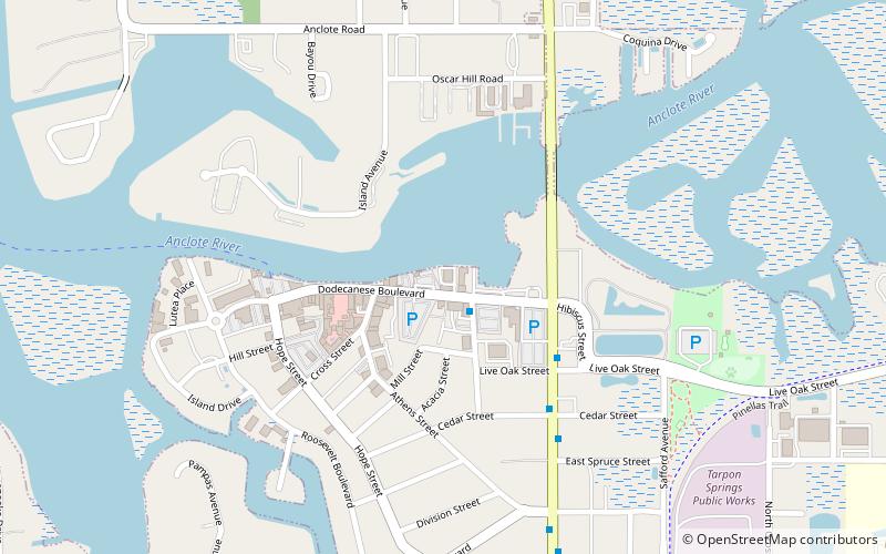 n k symi tarpon springs location map