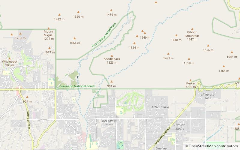 Bear Canyon location map
