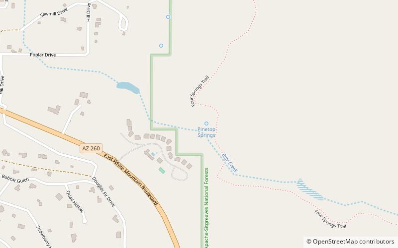 Wyndham Pinetop location map