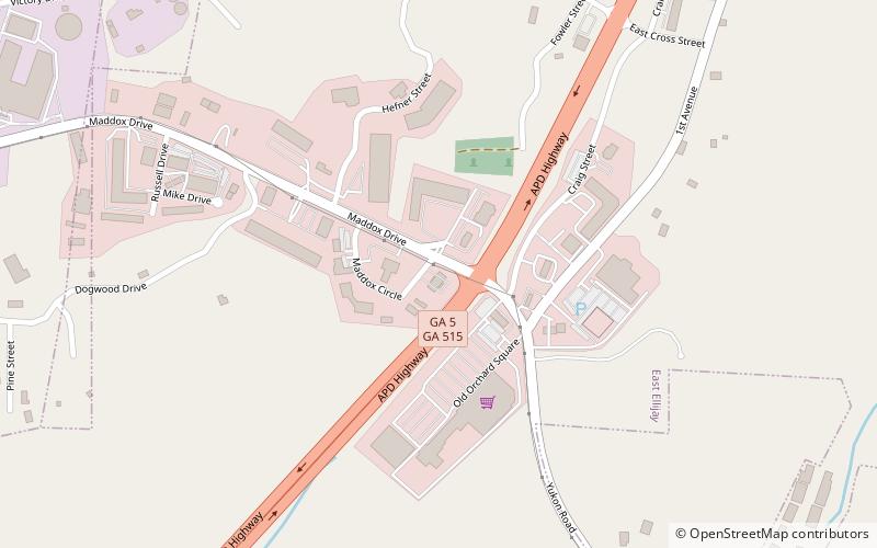 East Ellijay location map