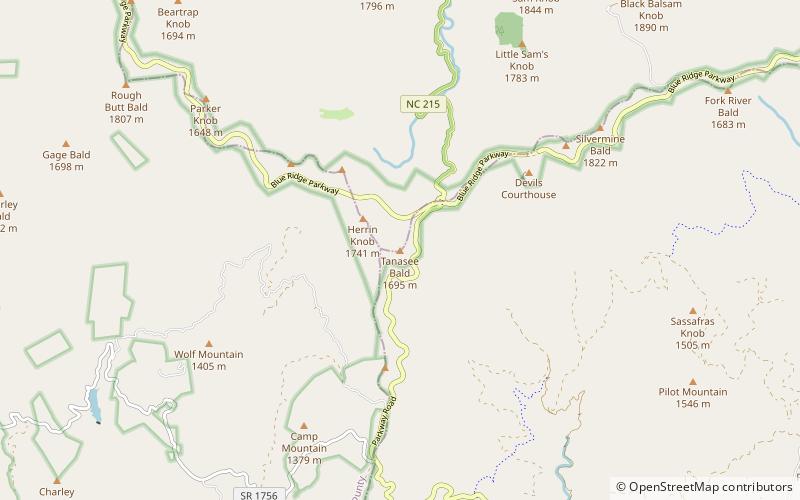 Tanasee Bald location map