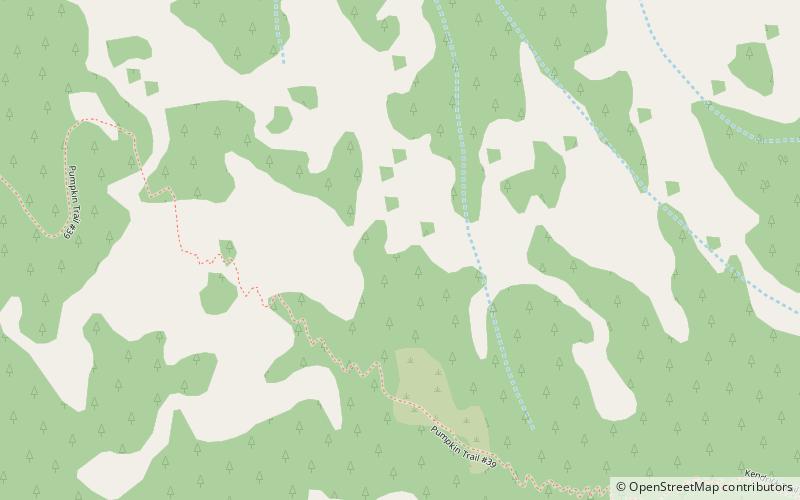 Kendrick Peak location map