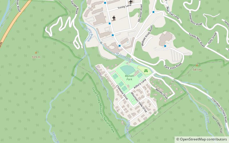 mynatt park gatlinburg location map