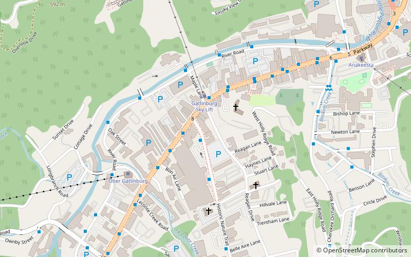 Gatlinburg Space Needle location map