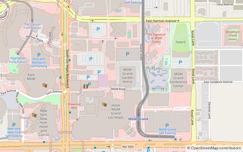 MGM Grand Garden Arena location map