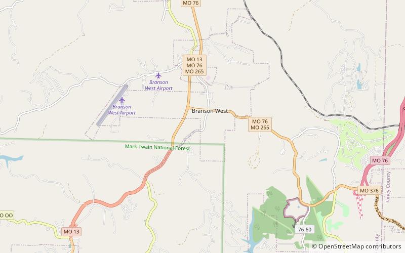Reeds Spring location map