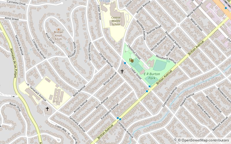 Episcopal Church of the Epiphany of San Carlos location map