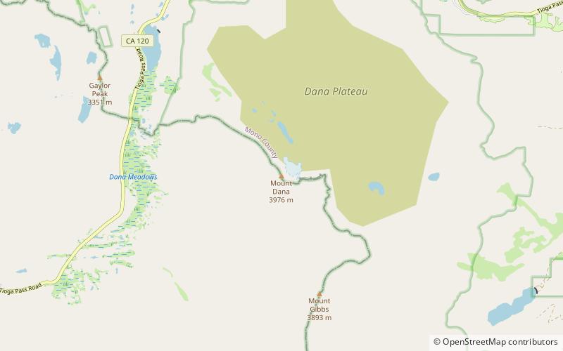Mount Dana location map