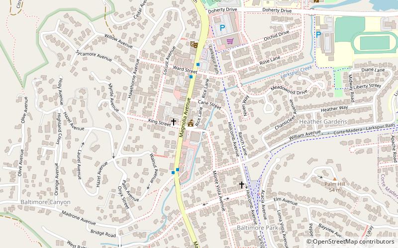 Larkspur Bike location map