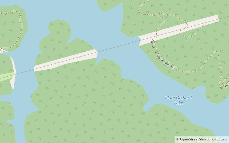 Plum Orchard Lake location map