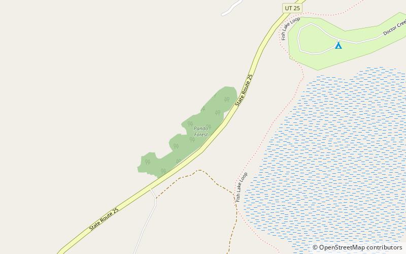 Pando Tree location map