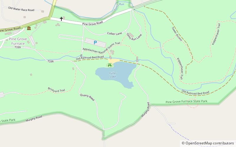 fuller lake pine grove furnace state park location map