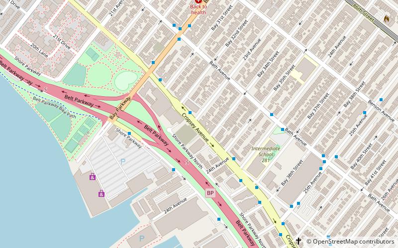 cropsey avenue nueva york location map