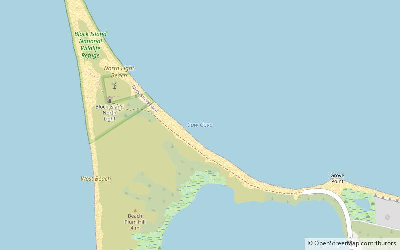 cow cove block island location map