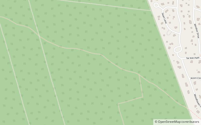 manuel f correllus state forest marthas vineyard location map